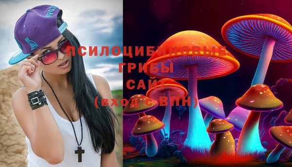 PSILOCYBIN Володарск